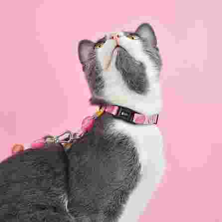 DASHI antkaklis, 1 vnt.