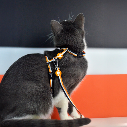 DASHI STRIPES3 ORANGE&BLACK, katėms pavadėlis, 1 vnt.