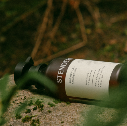 STENDERS Spanguolė dušo gelis, 250 ml