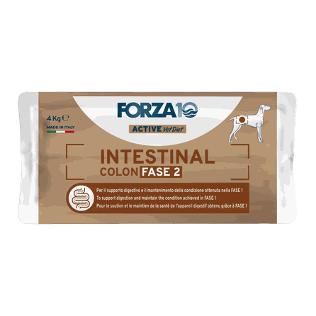 FORZA10 Active VetDiet Intestinal Colon FASE 2, suaugusiems šunims sausas pašaras, 4 kg