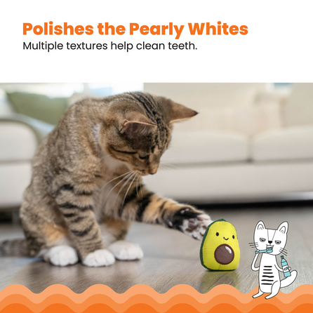 CATSTAGES Lil' Avocato, žalias žaislas, 1 vnt.