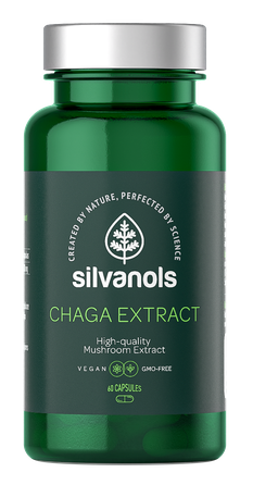 SILVANOLS Chaga Extract kapsulės, 60 vnt.
