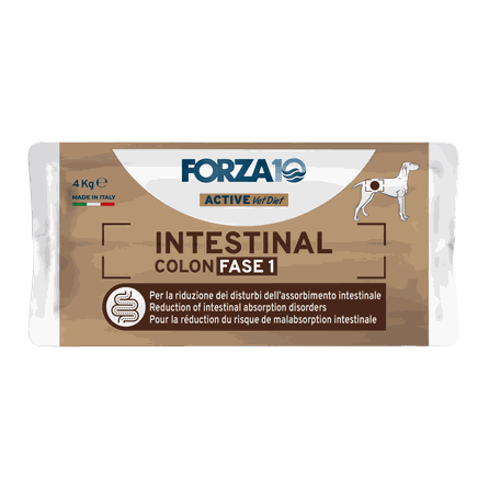 FORZA10 Active VetDiet Intestinal Colon FASE 1, suaugusiems šunims sausas pašaras, 4 kg