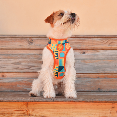 DASHI petnešos, 1 vnt.