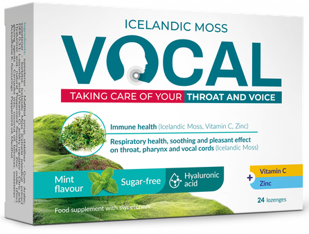 VOCAL  Ha Mint Flavour pastilės, 24 vnt.