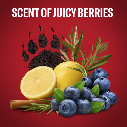 OLD SPICE Lumberjack vyrams dovanų rinkinys, 1 vnt.