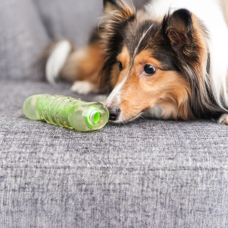 PETSTAGES Crunchcore, žalias, M žaislas, 1 vnt.