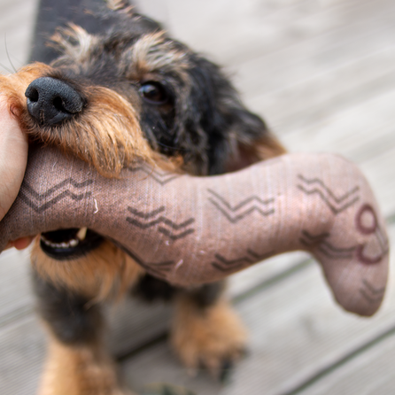 KIWI WALKER pliušinė žuvis žaislas, 1 vnt.