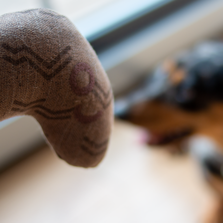 KIWI WALKER pliušinė lapė  žaislas, 1 vnt.