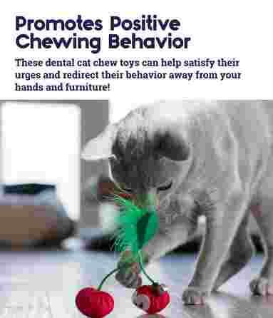 PETSTAGES Dental Cherries, raudonas žaislas, 1 vnt.