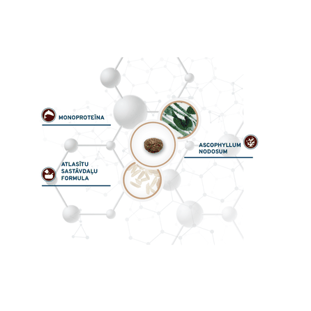 FORZA10 Diet Cat Intestinal Colon, katėms sausas pašaras, 1.5 kg