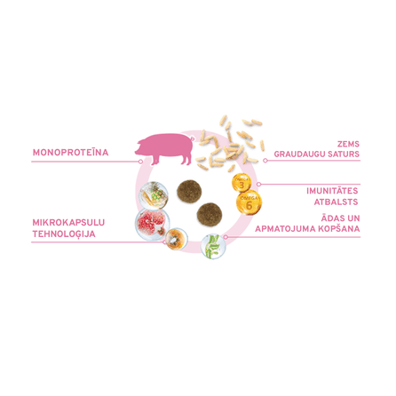 FORZA10 Monodiet Mini Adult su kiauliena ir bulvėmis, šunims sausas pašaras, 1.5 kg