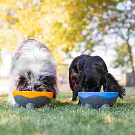 KIWI WALKER UFO, mėlynas, M dubenėlis, 1 vnt.