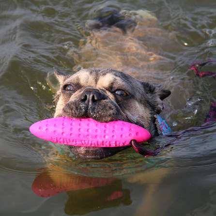 KIWI WALKER skraidančios formos, rožinis, MAXI žaislas, 1 vnt.