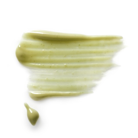 DR.HAUSCHKA  Pumpkin Seed intensyviai maitinanti galvos odos kaukė, 25 ml