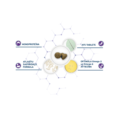 FORZA10 Active Vetdiet Defense, šunims sausas pašaras, 10 kg
