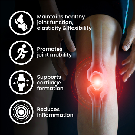 VPLAB MSM maisto papildas sąnariams,  tabletės, 90 vnt.