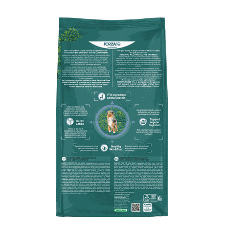 FORZA10  Maintenance Medium Adult, su elniena ir bulvėmis, šunims sausas pašaras, 2 kg