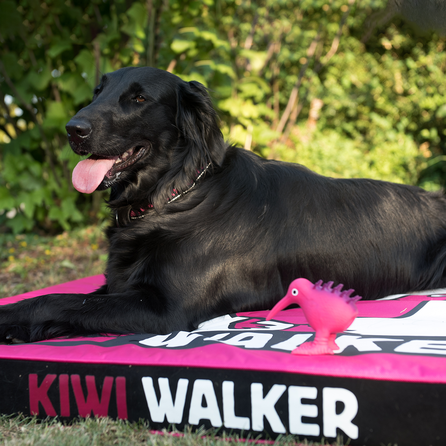 KIWI WALKER ortopedinis ir lengvai prižiūrimas, oranžinis/juodas, L gyvūnų guolis, 1 vnt.