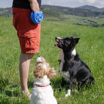 KIWI WALKER patogus, lengvai valomas, mėlynas saldainių maišelis, 1 vnt.