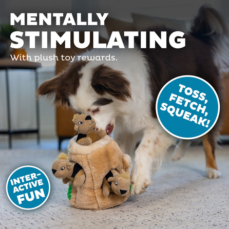 OUTWARD HOUND Hide A Squirrel, rudas, S žaislas, 1 vnt.