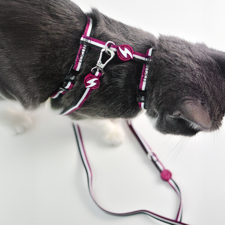 DASHI STRIPES3 PURPLE&BLACK, krūtinės diržas- pavadėlis, 1 vnt.