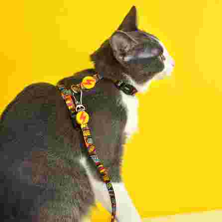 DASHI BOOM, katėms krūtinės diržas ir pavadėlis katėms, 1 vnt.