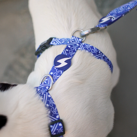 DASHI petnešos, 1 vnt.