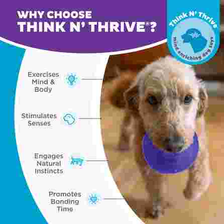 OUTWARD HOUND Lil’ Snoop, violetinis, S žaislas, 1 vnt.