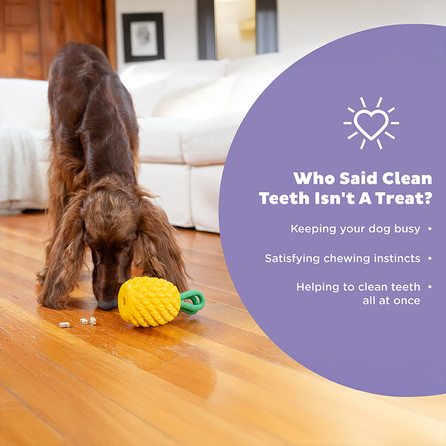 OUTWARD HOUND Dental Pineapple, geltonas žaislas, 1 vnt.