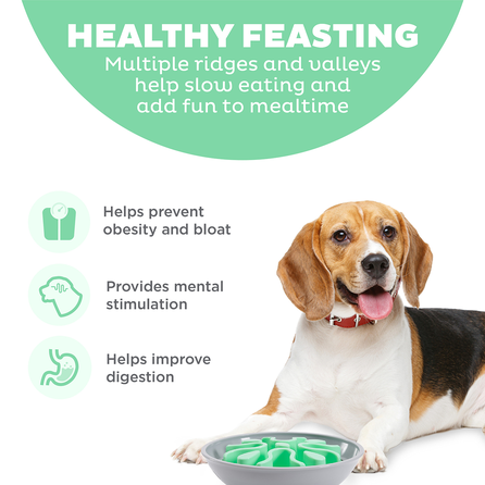 OUTWARD HOUND Fun Feeder Wobble Slo Bowl, šviesiai žalias žaislas, 1 vnt.