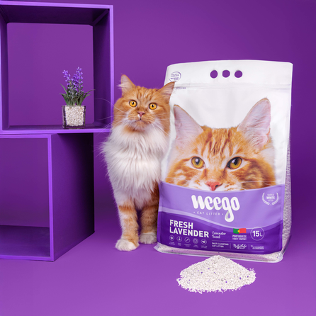 WEEGO FRESH LAVENDER 5L cementuojantis smėlis katės tualetui, 5 L