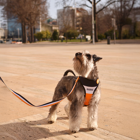 DASHI pavadėlis, 1 vnt.