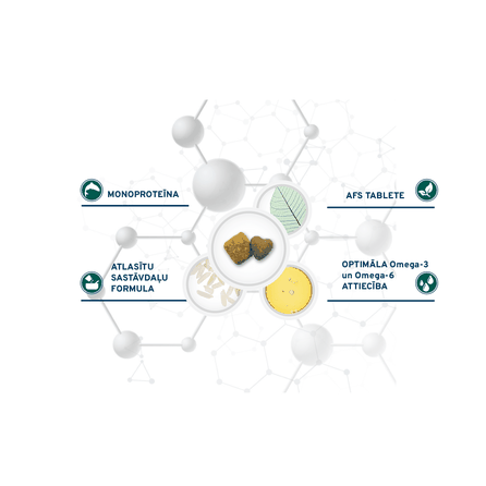 FORZA10 Active Vetdiet Echo, šunims sausas pašaras, 10 kg