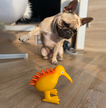 KIWI WALKER švilpiantis, lateksinis, oranžinis, one size žaislas, 1 vnt.