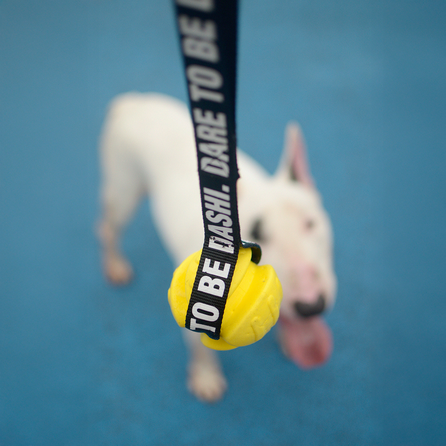 DASHI TPR, šunims žaislas, 1 vnt.