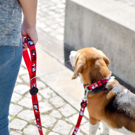 DASHI antkaklis, 1 vnt.