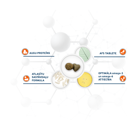 FORZA10 VetDiet Cat Renal, suaugusioms katėms sausas pašaras, 400 g