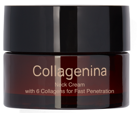 COLLAGENINA With 6 Collagens, Grade 2, Neck kremas, 50 ml