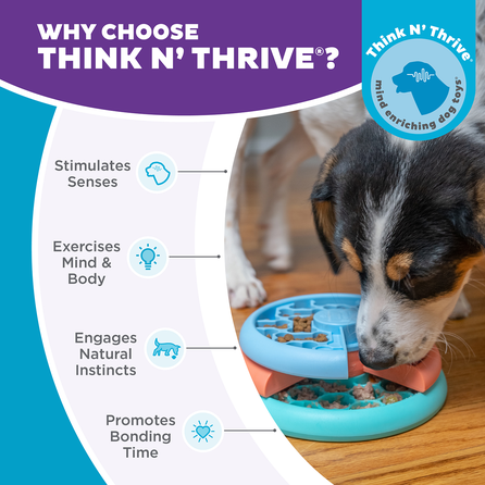 OUTWARD HOUND Lickin' Layers, S, spalvotas žaislas, 1 vnt.