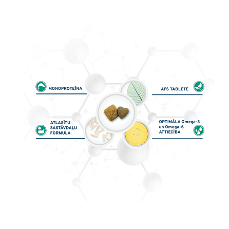 FORZA10  Active VetDiet Diabetic 1, suaugusiems šunims sausas pašaras, 1.5 kg
