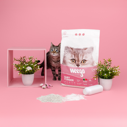 WEEGO BABY POWDER 5L cementuojantis smėlis katės tualetui, 5 L