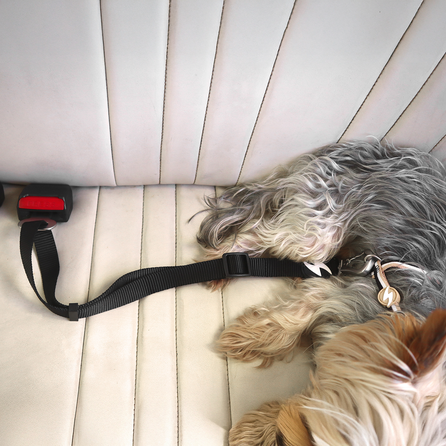 DASHI automobilinis saugos diržas, 1 vnt.