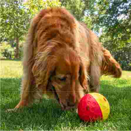 OUTWARD HOUND Treat Tumble, raudonas, L žaislas, 1 vnt.