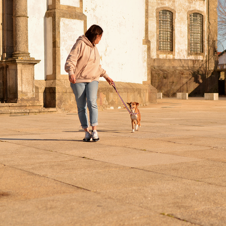 DASHI pavadėlis, 1 vnt.