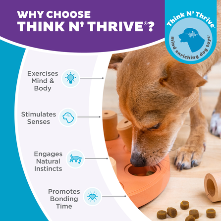 OUTWARD HOUND Dog Smart Composite, oranžinis žaislas, 1 vnt.