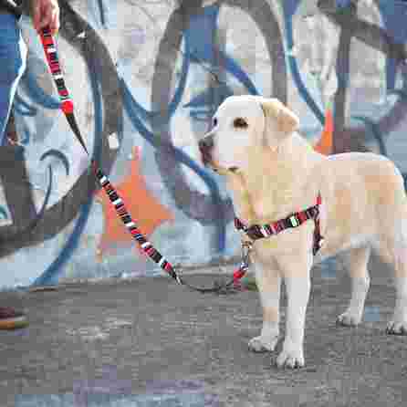 DASHI pavadėlis, 1 vnt.