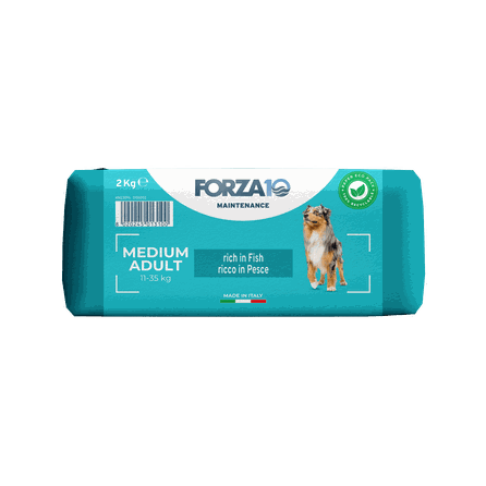 FORZA10 Maintenance Medium Adult, vidutinio dydžio šunims, su žuvimi sausas pašaras, 2 kg
