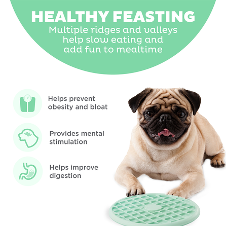 OUTWARD HOUND Fun Feeder Slo Tray, šviesiai žalios spalvos, L žaislas, 1 vnt.