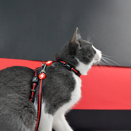 DASHI  STRIPES3 RED&BLACK, katėms pavadėlis, 1 vnt.